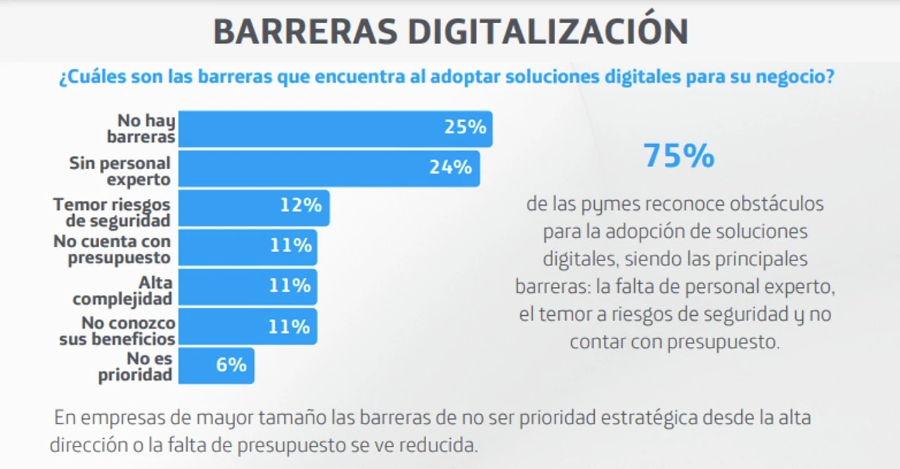 Pregunta sobre las barreras de la digitalización: ¿cuáles son las barreras que encuentra al adoptar soluciones digitales para su negocio?